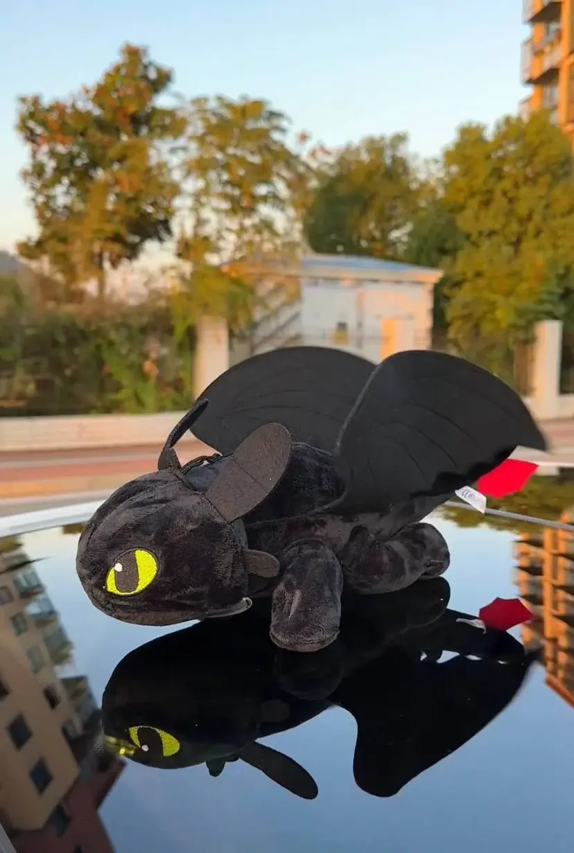 Night Dragon & Frost Dragons on Car/Moto - detail 3
